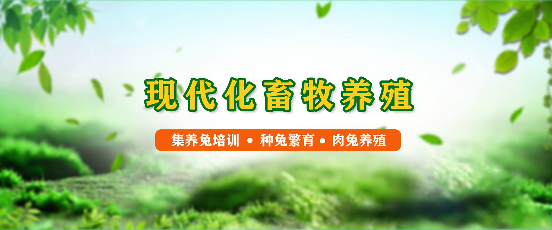 �Ĵ�������ֳ