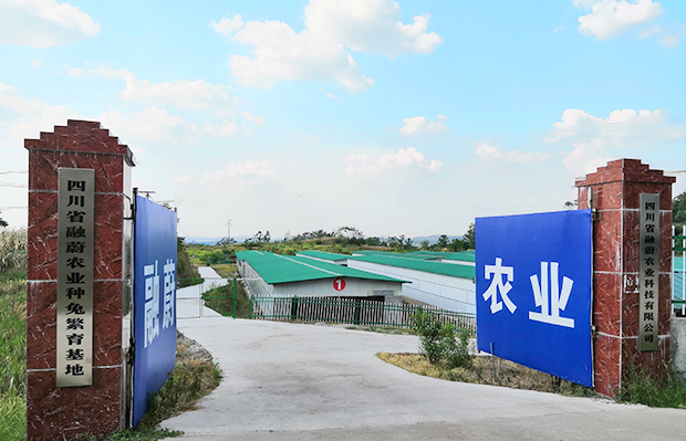 ������Ϸ��(�й���)�ٷ���վ -APP����