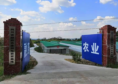 �Ĵ�������ֳ��˾�ļҺ�����������