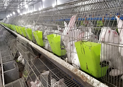 �Ĵ�������ֳ�����г���Ǯ��������ֳ��